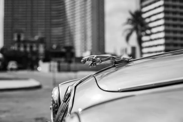 Casino Loony Bingo Android/iOS aplikacija